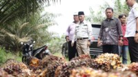 Pj Bupati Muba Apriyadi Sambangi Petani Sawit di Desa Sidorejo Keluang
