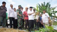 Carikan Solusi Agar Sawah di Desa Epil Tidak Banjir