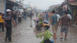 Jalan Lintas di Panai Hulu Rusak, Warga Tanam 1000 Pohon