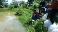 Kilang Pertamina Plaju Kembangkan Penelitian Pelestarian Ikan Belida Lewat BRIN