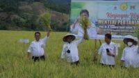 Mentan Dorong Hilirisasi Pertanian di Sulbar
