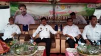 Dua Komoditi Pertanian di Sulbar Swasembada