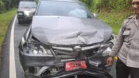 Mobil Dinas Pemkab OKU “Beradu Kambing”