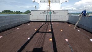 Tahun 2022, Mamuju Ekspor Cangkang Sawit senilai Rp97,7 Miliar