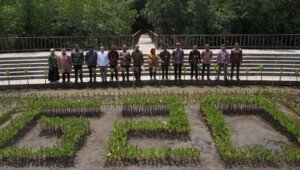 Bersama Pemerintah dan Swasta, PTBA Dukung Rehabilitasi Mangrove