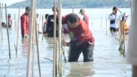 Pemprov Sulbar Canangkan Gerakan Menanam 1,2 Juta Mangrove