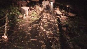 Jalan Pining Blangkejeren Longsor, Akses Sementara Ditutup