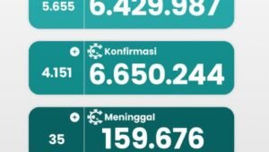 Update 27 November 2022 Korban Covid-19 di Indonesia: 6.650.244 Positif, 6.429.987 Sembuh, 159.676 Meninggal