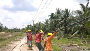 Negara Hadirkan Listrik Lewat PLN, Industri Perikanan Warga Desa Perajen Jaya di Sumsel Tumbuh Pesat