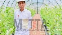 Ini Penjelasan Presiden Jokowi Tentang Rencana Larangan Penjualan Rokok Batangan