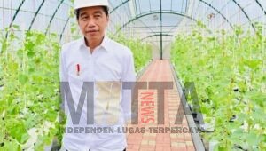 Ini Penjelasan Presiden Jokowi Tentang Rencana Larangan Penjualan Rokok Batangan