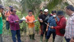 PT Adimas Baturaja Cemerlang Menang Gugatan atas 136 Hektar yang Dikuasai PT Mitra Ogan