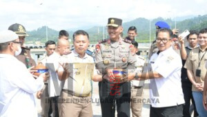 Sulbar Ekspor 3800 Ton Bungkil Sawit, Senilai 8,4 Miliar Tujuan Thailand