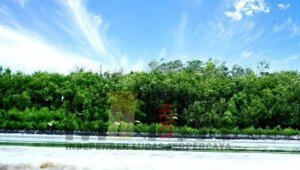 Ragam Dukungan PTBA untuk Sektor Pariwisata
