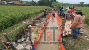 Tahun 2022, Program Padat Karya Dinas PUTR Purwakarta Serap Ratusan Pekerja