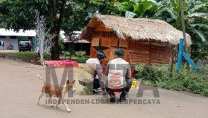 Pengurus AJI Indonesia dan Jurnalis Senior Papua, Victor Mambor Diteror Aksi Ledakan Bom