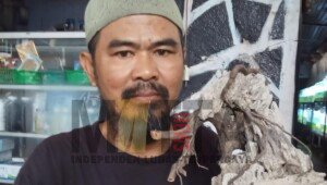 Luar Biasa! Warga Purwakarta ini Ciptakan Terrarium Mini Moon Garden