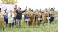 Wamentan Siap Dukung Peningkatan Produksi Petani Bawang di Sulbar