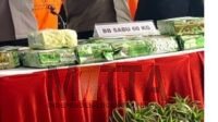 Polri Musnahkan 60 Kg Barbuk Sabu Jaringan Malaysia-Aceh