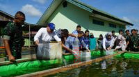 Wakil Bupati Kapuas Hulu Restocking Ikan Lele di Yonif Raider Khusus 644/Wls