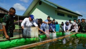 Wakil Bupati Kapuas Hulu Restocking Ikan Lele di Yonif Raider Khusus 644/Wls