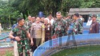Kodam III Siliwangi dan PLN Lakukan Hal ini Percepat Pertumbuhan Lele
