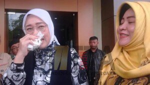 Pengadilan Agama Kabulkan Gugatan Cerai Bupati Purwakarta