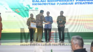Pengendalian Inflasi di Kota Palembang