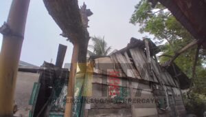 Setelah 14 Hari Tertimpa Pohon Besar, 2 Rumah Korban Dikunjungi Sekda Kota Palembang