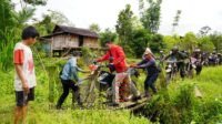Bupati Kapuas Hulu: Desa Tanjung Kecamatan Mentebah Menuju Desa Bahenap Kecamatan Kalis di Bangun Badan Jalan Program TMMD