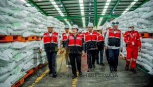 Puan Maharani Tinjau Pabrik Pusri Palembang