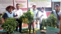 Branggang Rutan Prabumulih, Rutin Panen Sayuran