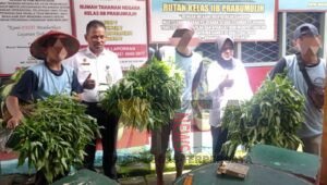 Branggang Rutan Prabumulih, Rutin Panen Sayuran
