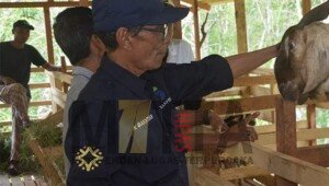 Wabup Batang Hari Hadiri Kegiatan BumDes Mekar Jaya