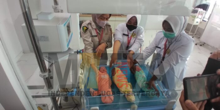 Guru SMP Lahirkan Bayi Kembar Tiga