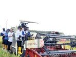 Panen Raya Wakil Bupati OKI Harapkan Harga Beras Tetap Stabil