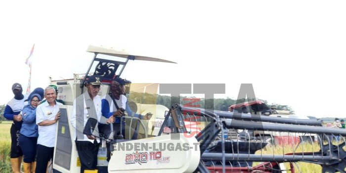 Panen Raya Wakil Bupati OKI Harapkan Harga Beras Tetap Stabil