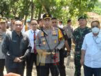 429 Pucuk Senpira Dimusnahkan Jelang Lebaran