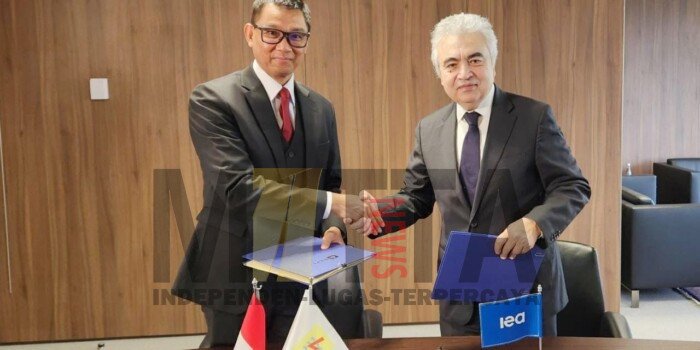 Matangkan Skema JETP, PLN Gandeng IEA Jalankan Roadmap Transisi Energi