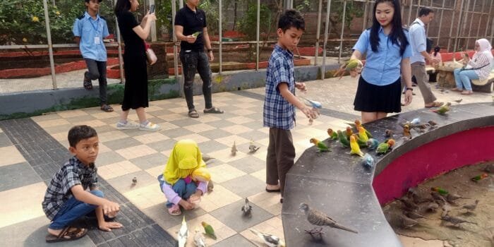 H+3, 800 Tiket Palembang Bird Park Habis Terjual