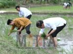 Presiden Jokowi Tanam Padi Bersama Petani di Tuban, Apresiasi Penggunaan Pupuk Organik