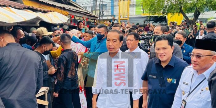 Presiden Jokowi Cek Harga Kebutuhan Pokok di Pasar Tugu Palsigunung Depok