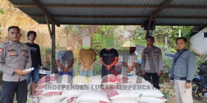 Pupuk Perkebunan Sawit PT PGM KHLE Dicuri, Kapolsek Silat Hilir: Barang Bukti 83 Karung Pupuk Jenis Borat