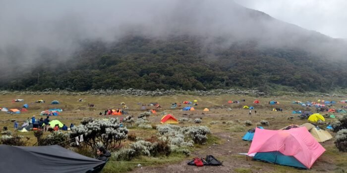 Gunung Gede Pangrango kembali Ditutup Mulai 15 Mei 2023, Ada Apa?