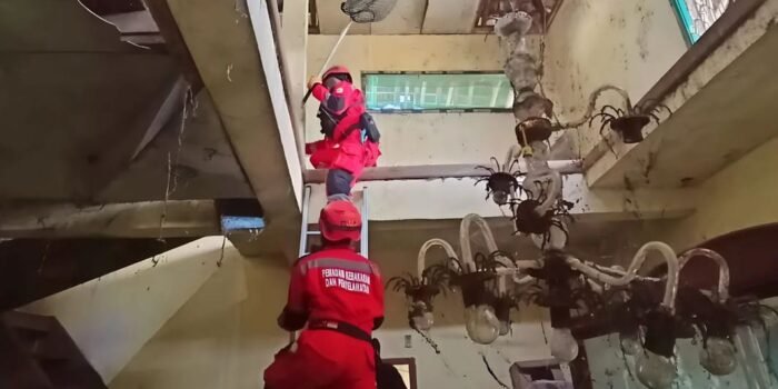 Rumah Dokter Wayan Sempat Viral Karena Terbengkalai, Kini Dibersihkan