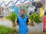 Brandgang Rutan Prabumulih Kembali Sukses Budidaya Kangkung