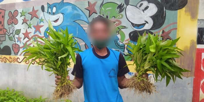 Brandgang Rutan Prabumulih Kembali Sukses Budidaya Kangkung