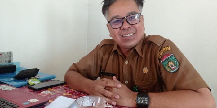 Terkait Tumbuhan Liar Merambat di Badan Jalan Sindur, Ini Kata DLH Prabumulih