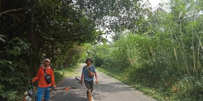 Tanaman Liar Sepanjang Jalan Sindur Dibersihkan, Ini Harapan DLH Prabumulih