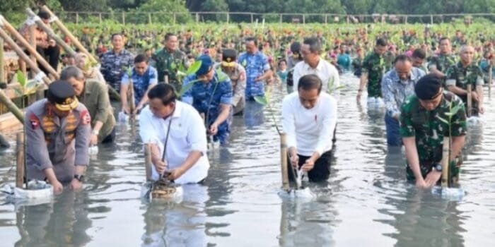 Apresiasi Presiden Jokowi Usai Tanam Mangrove Bersama Untuk Rehabilitasi Hutan Mangrove di Tanah Air